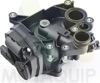 Motaquip LVTK257 - Termostat,lichid racire aaoparts.ro