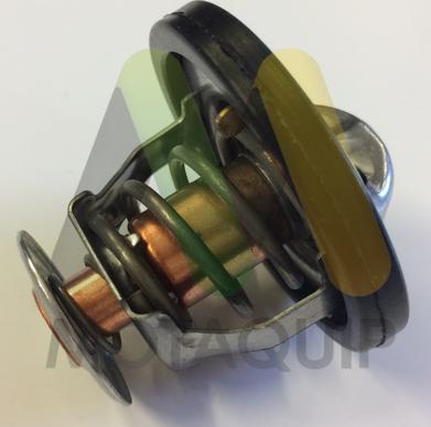 Motaquip LVTK214 - Termostat,lichid racire aaoparts.ro