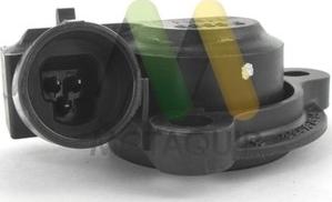 Motaquip LVTP110 - Senzor, pozitie clapeta acceleratie aaoparts.ro