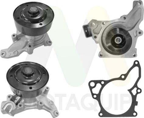 Motaquip LVWP1155 - Pompa apa aaoparts.ro