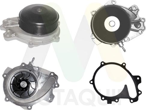 Motaquip LVWP1157 - Pompa apa aaoparts.ro