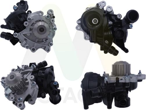 Motaquip LVWP1102BH - Pompa apa aaoparts.ro