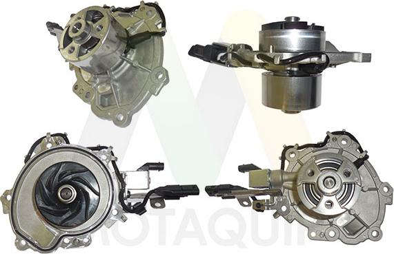Motaquip LVWP1110 - Pompa apa aaoparts.ro