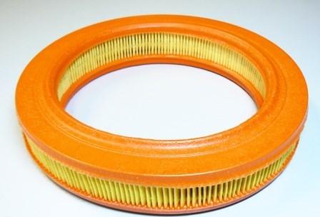 Motaquip VFA114 - Filtru aer aaoparts.ro