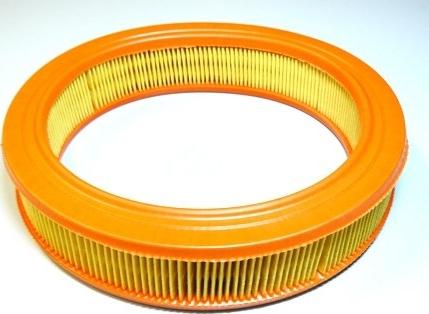 Motaquip VFA125 - Filtru aer aaoparts.ro