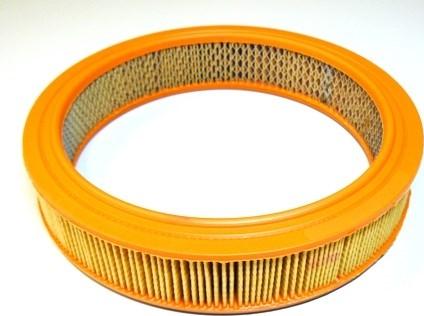 Motaquip VFA276 - Filtru aer aaoparts.ro