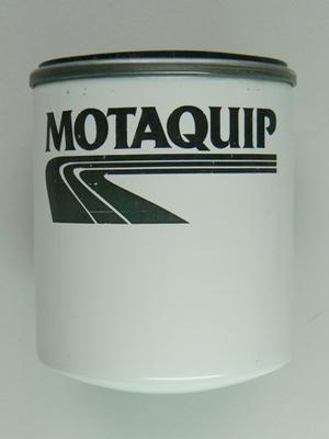 Motaquip VFF189 - Filtru combustibil aaoparts.ro