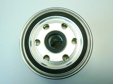 Motaquip VFF179 - Filtru combustibil aaoparts.ro