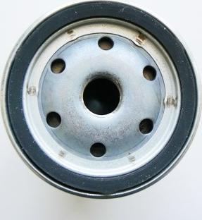 Motaquip VFF339 - Filtru combustibil aaoparts.ro