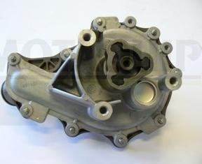 Motaquip VWP919 - Pompa apa aaoparts.ro