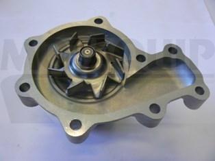 Motaquip VWP920 - Pompa apa aaoparts.ro