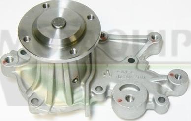 Motaquip VWP581 - Pompa apa aaoparts.ro