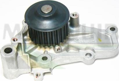 Motaquip VWP650 - Pompa apa aaoparts.ro