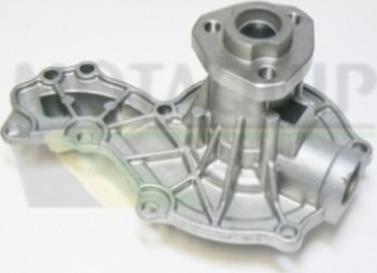 Motaquip VWP684 - Pompa apa aaoparts.ro