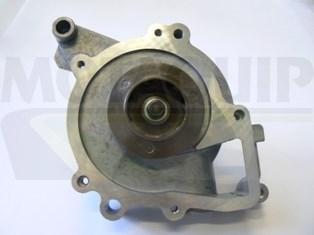 Motaquip VWP868 - Pompa apa aaoparts.ro
