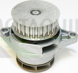 Motaquip VWP813 - Pompa apa aaoparts.ro