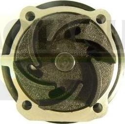 Motaquip VWP839 - Pompa apa aaoparts.ro