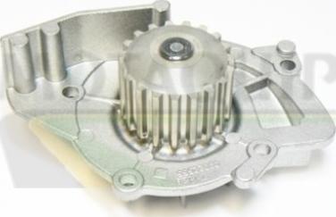 Motaquip VWP783 - Pompa apa aaoparts.ro