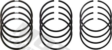 MOTIVE 5311 - Set segmenti piston aaoparts.ro
