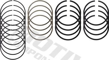 MOTIVE 4750 - Set segmenti piston aaoparts.ro