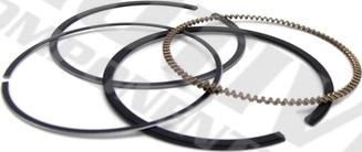 MOTIVE 5307 - Set segmenti piston aaoparts.ro