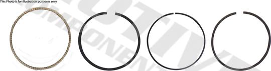 MOTIVE 3213 - Set segmenti piston aaoparts.ro