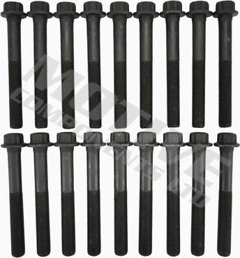 MOTIVE HB4196SET - Set surub, chiulasa aaoparts.ro