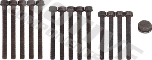 MOTIVE HB1642SET - Set surub, chiulasa aaoparts.ro