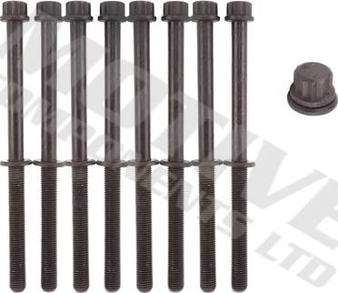 MOTIVE HB8980SET - Set surub, chiulasa aaoparts.ro