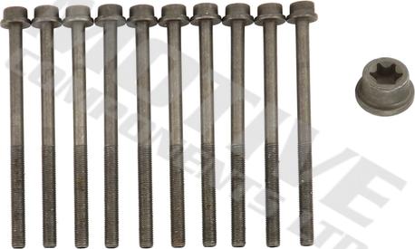 MOTIVE HB8136SET - Set surub, chiulasa aaoparts.ro