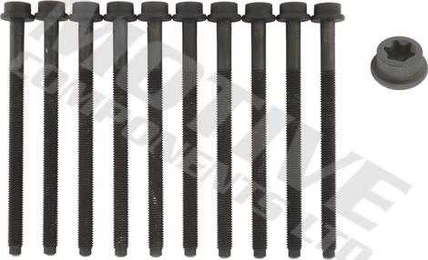 MOTIVE HB8131SET - Set surub, chiulasa aaoparts.ro