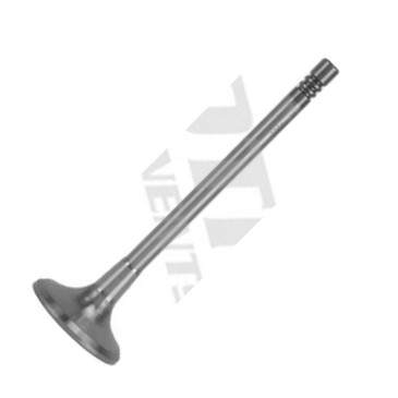 MOTIVE IV10002 - Supapa admisie aaoparts.ro