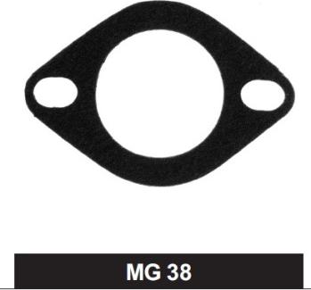 Motorad MG-38 - Garnitura termostat aaoparts.ro