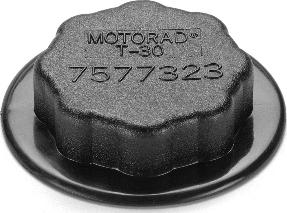 Motorad T-30 - Buson,vas expansiune aaoparts.ro