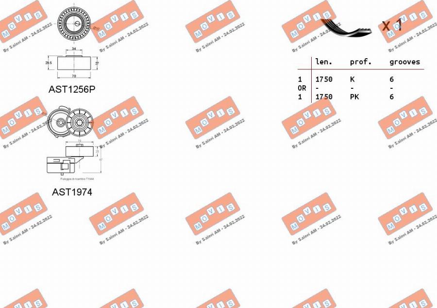 MOVIS ASTA0031 - Set curea transmisie cu caneluri aaoparts.ro