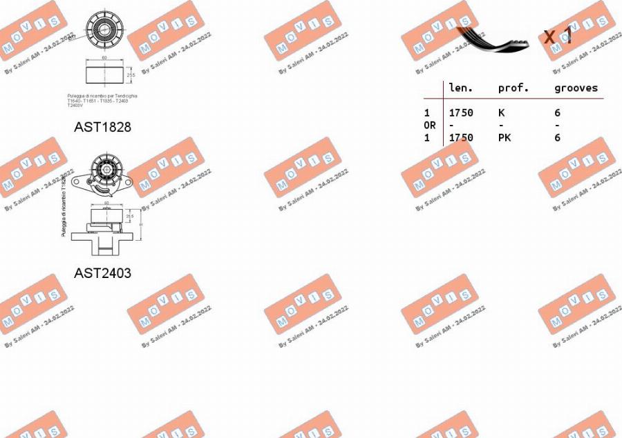 MOVIS ASTA0028 - Set curea transmisie cu caneluri aaoparts.ro