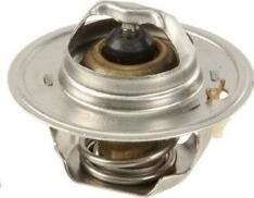MTR 12166275 - Termostat,lichid racire aaoparts.ro