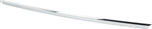 MTR MT3098 - Elemente decorative / protectie, portiera aaoparts.ro