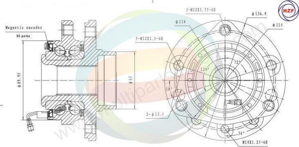 Multiparts 70-230026 - Set rulment roata aaoparts.ro