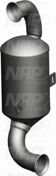 NAP CAK10499 - Catalizator aaoparts.ro