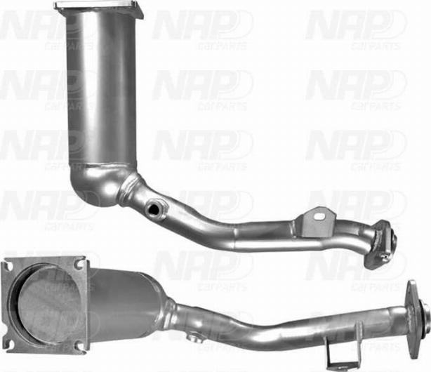 NAP CAK10516 - Catalizator aaoparts.ro