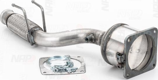 NAP CAK10127 - Catalizator aaoparts.ro