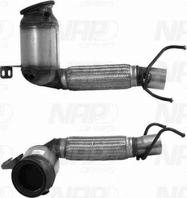 NAP CAK11520 - Catalizator aaoparts.ro