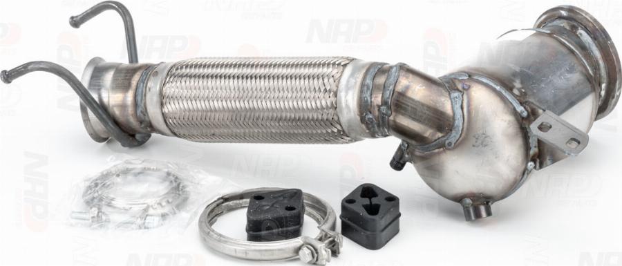 NAP CAK11527 - Catalizator aaoparts.ro