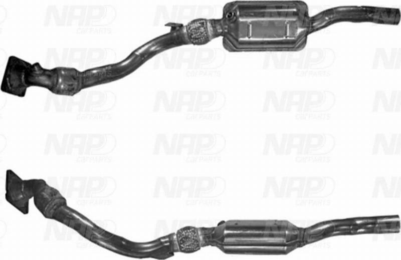 NAP CAK11114 - Catalizator aaoparts.ro