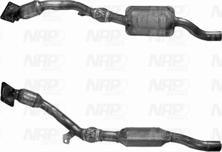 NAP CAK11115 - Catalizator aaoparts.ro