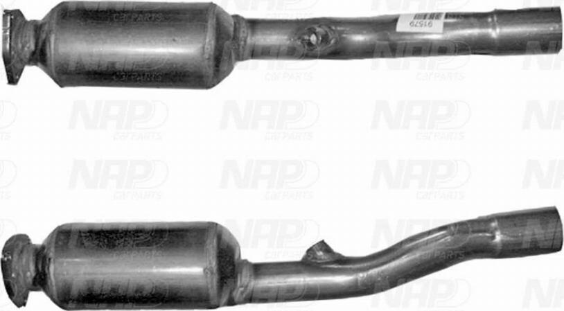 NAP CAK11214 - Catalizator aaoparts.ro