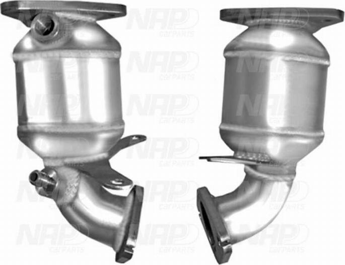 NAP CAK11213 - Catalizator aaoparts.ro