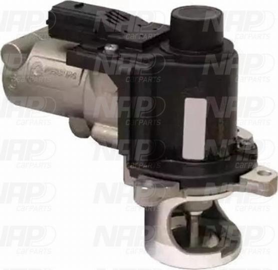 NAP CAV10073 - Supapa EGR aaoparts.ro