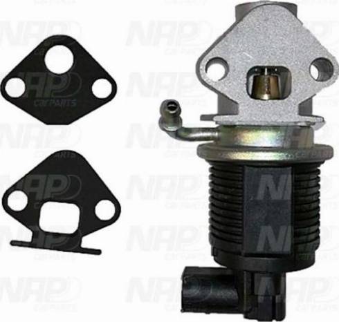 NAP CPA13000 - Supapa EGR aaoparts.ro